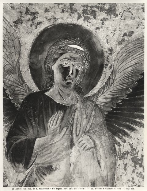 Bencini, Giulio/ Sansoni, Mario — Assisi - Ch. Sup. di S. Francesco - Un angelo. part. (Sc. del Torriti) — particolare
